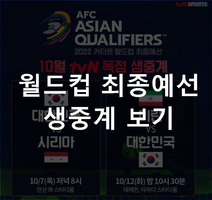 월드컵최종예선 생중계