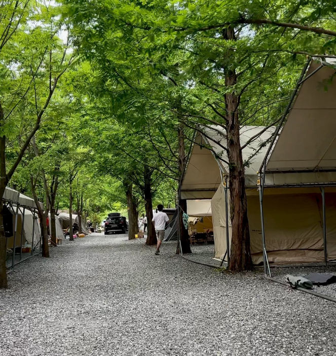 원주산노리캠핑장