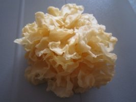 빈혈에 좋은 음식