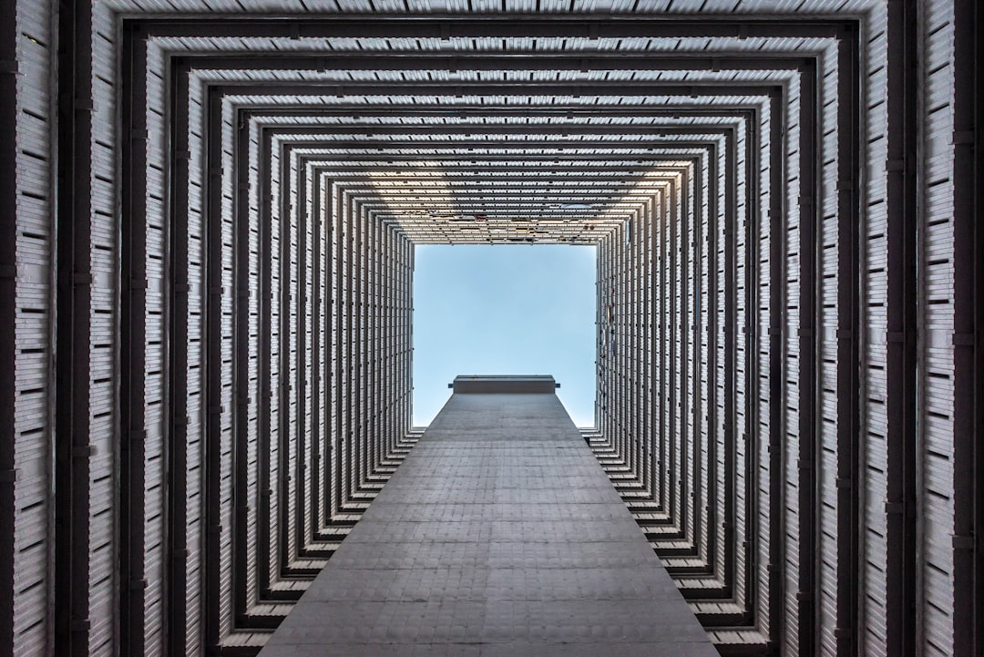 Perspective