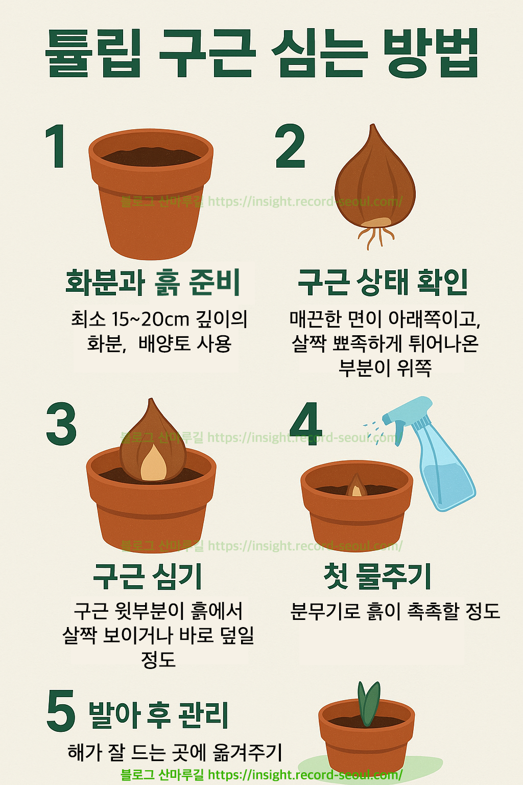 튤립구근심는시기