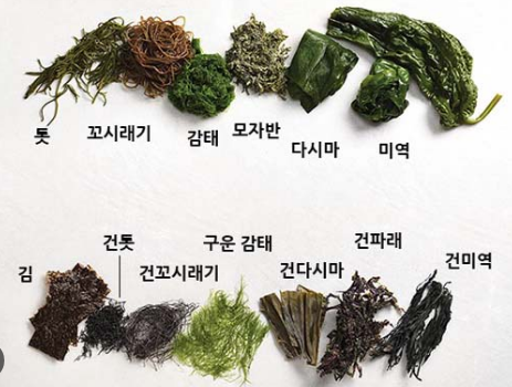해조류
