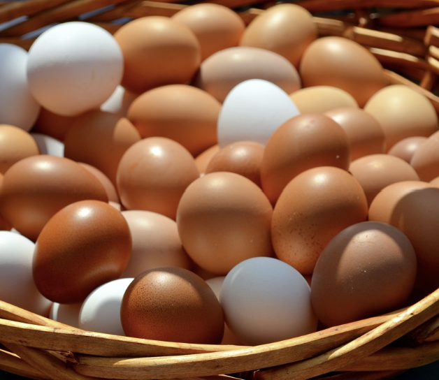 영양소 별 식재료