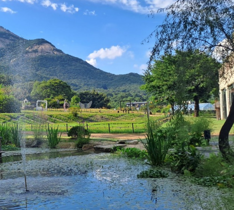 낭만등불축제 일정 체험 즐길거리 주차장 근처 맛집 정보