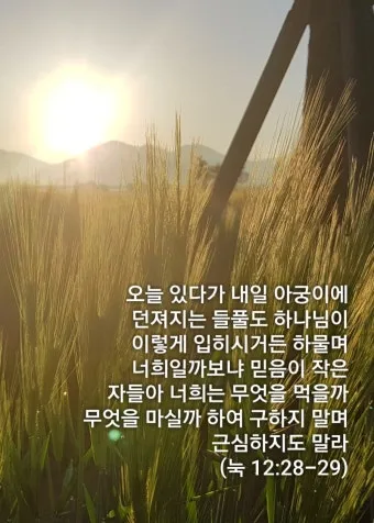 매일성경묵상(누가복음 12장 13-34절) 누가 네 인생의 주인이냐?_8