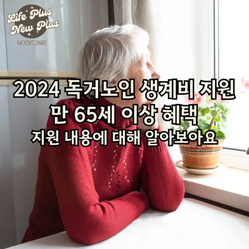 독거노인 생계비 지원