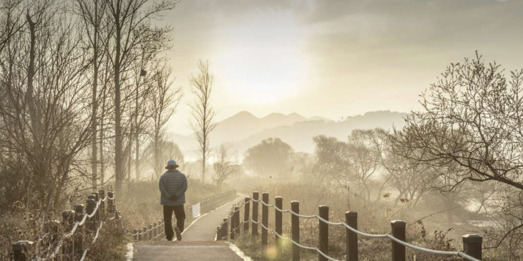 &quot;겨울 아침 안개가 낀 풍경 속에서 따뜻한 패딩을 입은 남성이 강아지와 함께 산책로를 걷고 있다. 양옆으로 갈대와 앙상한 나무들이 늘어서 있고, 저 멀리 산과 떠오르는 햇살이 부드럽게 비추고 있다.&quot;