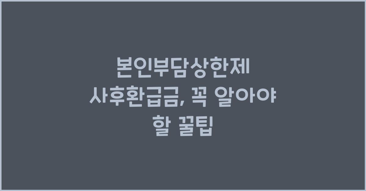 본인부담상한제 사후환급금