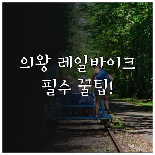 의왕 왕송호수 레일바이크 이용 방법과..