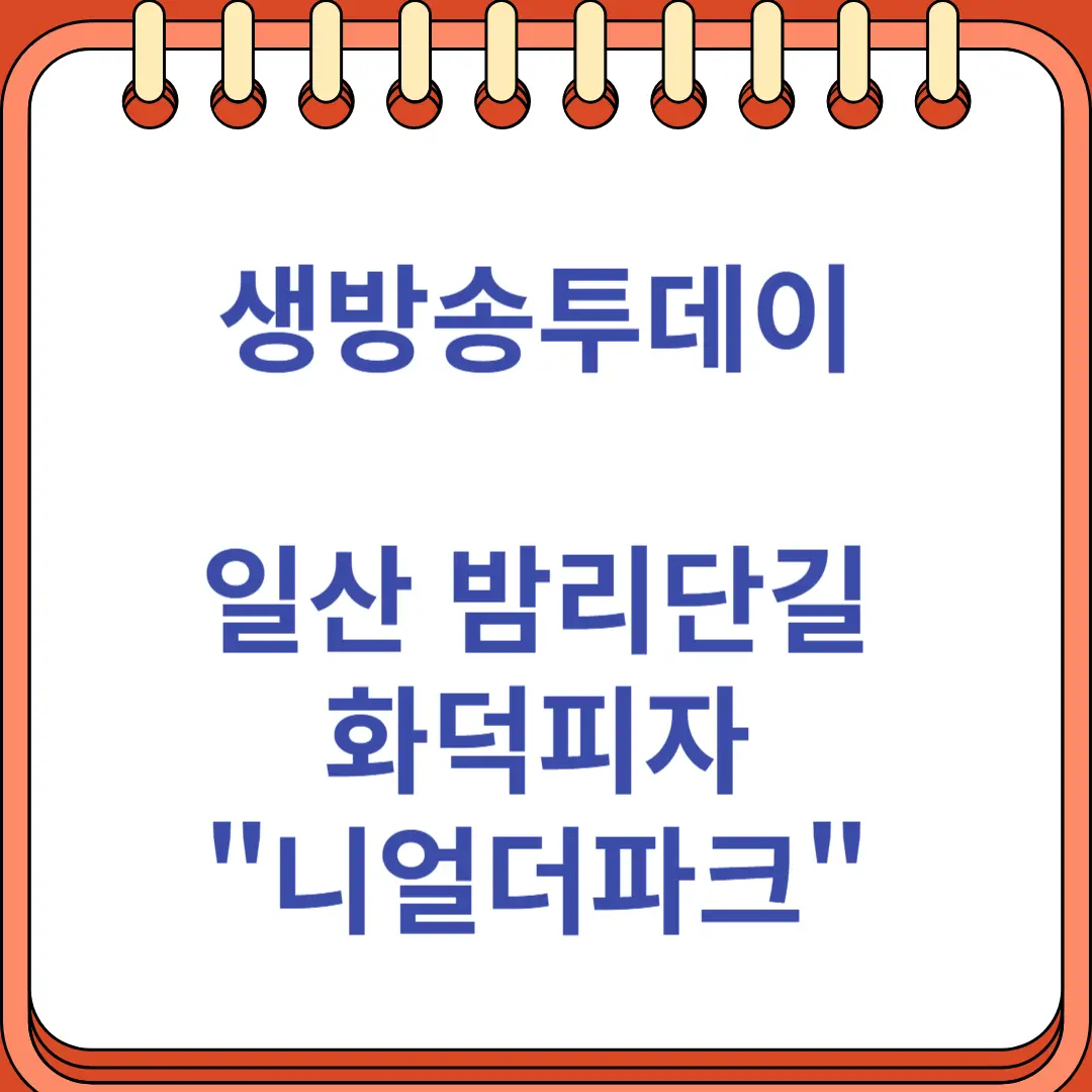 생방송투데이 일산 밤리단길 화덕피자