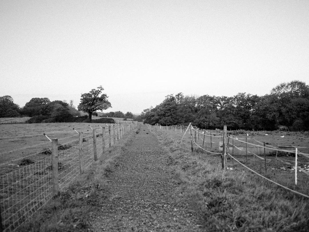 Shortcut