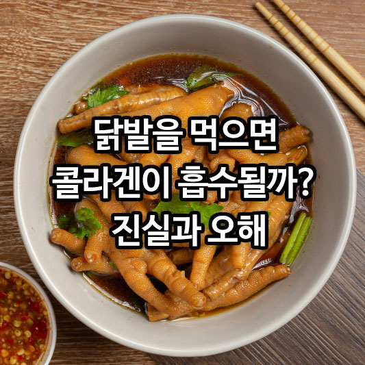 닭발을 먹으면 콜라겐이 흡수될까? 진실과 오해