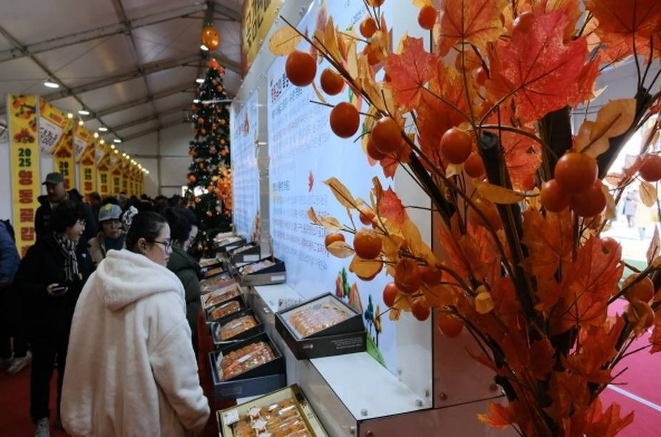 영동곶감축제 일정