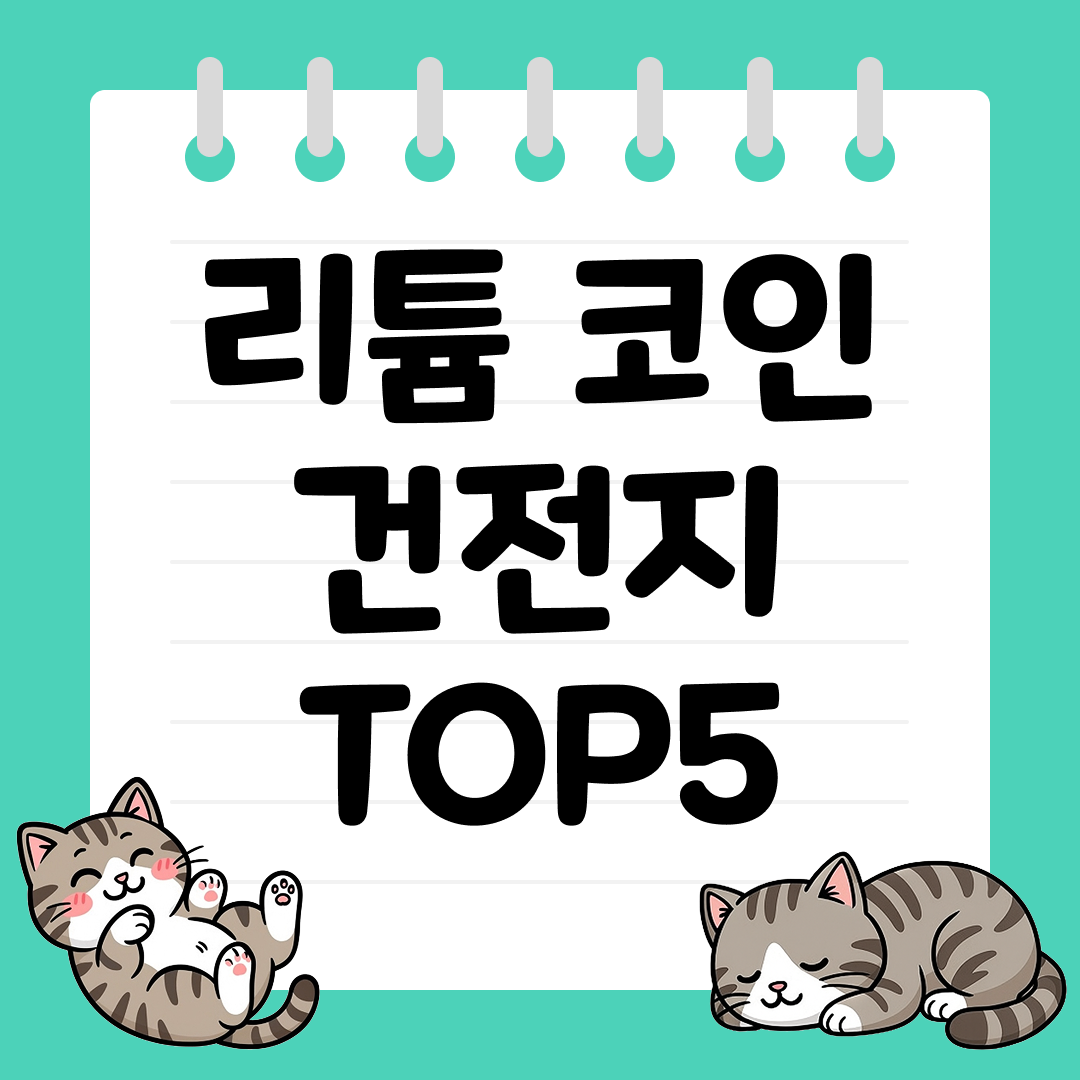 안정적인 전압과 긴 수명의 리튬 코인 건전지 추천 순위 TOP5