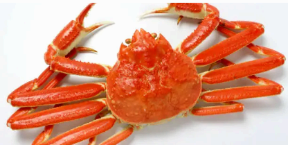 고향사랑기부제 참여방법과 답례품&amp;#44; 세액 공제 혜택까지 있으니 지금 참여하세요 