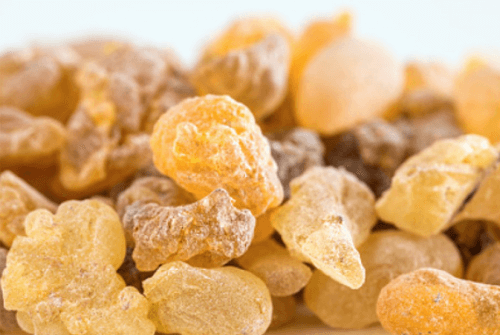 보스웰리아 효능01