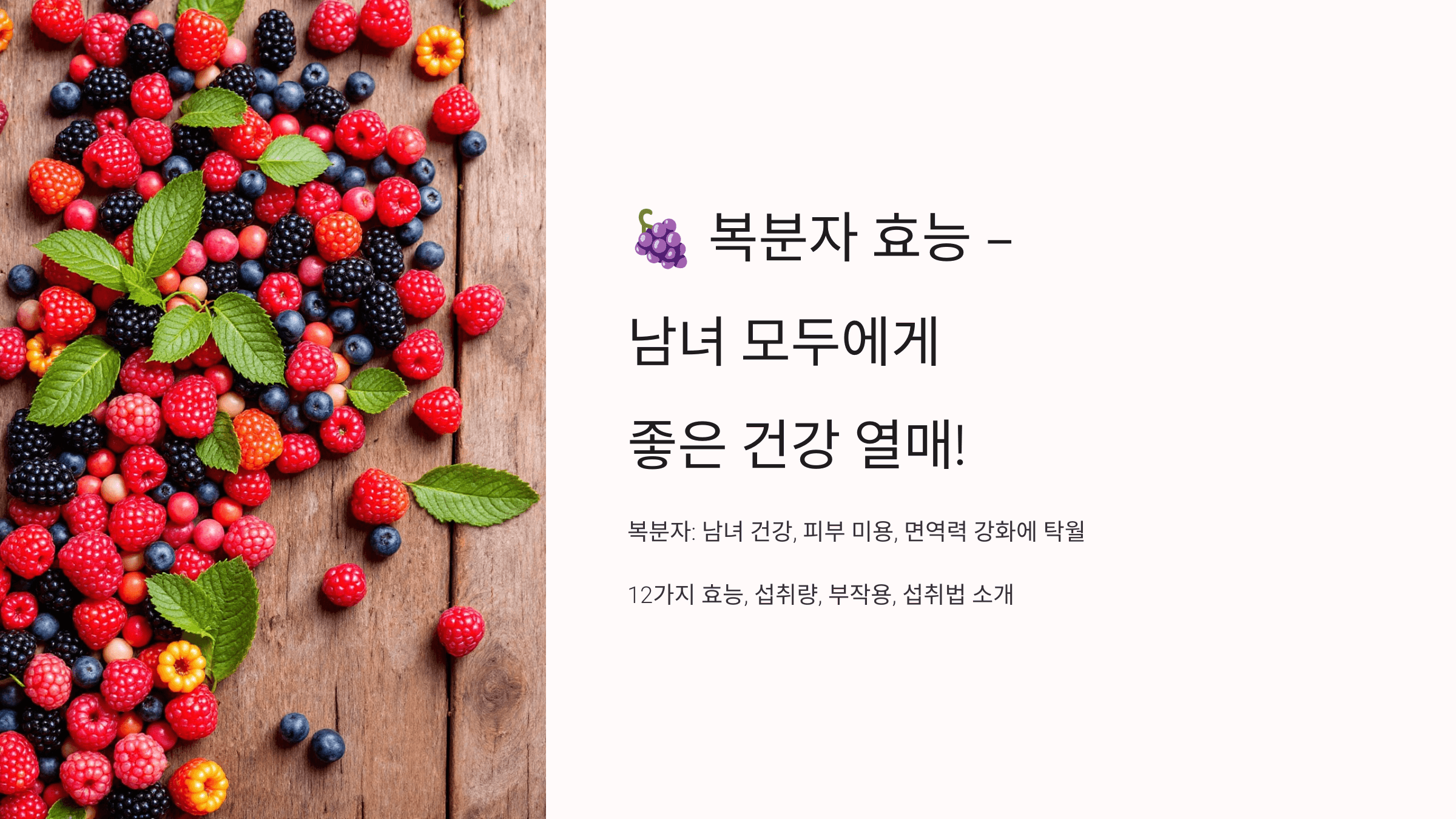 복분자 사진입니다.