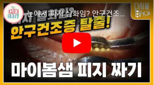 마이봄샘