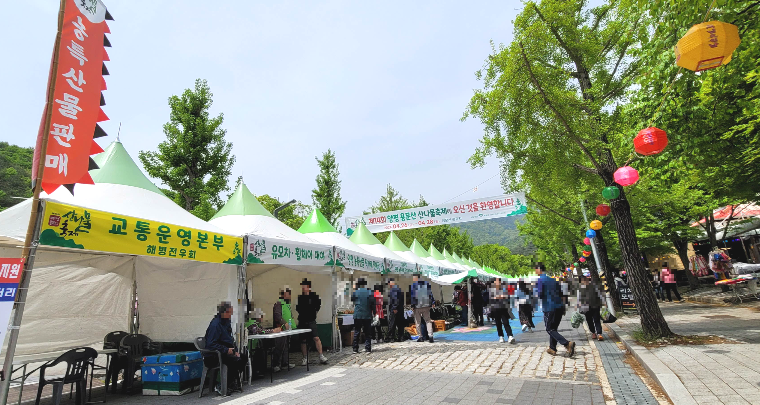 양평 용문산 산나물 축제장 입구