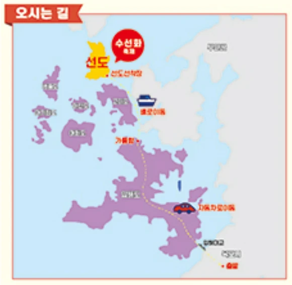 2025 신안 섬 수선화 축제 일정&amp;#44; 입장료&amp;#44; 여객선 시간표 총정리