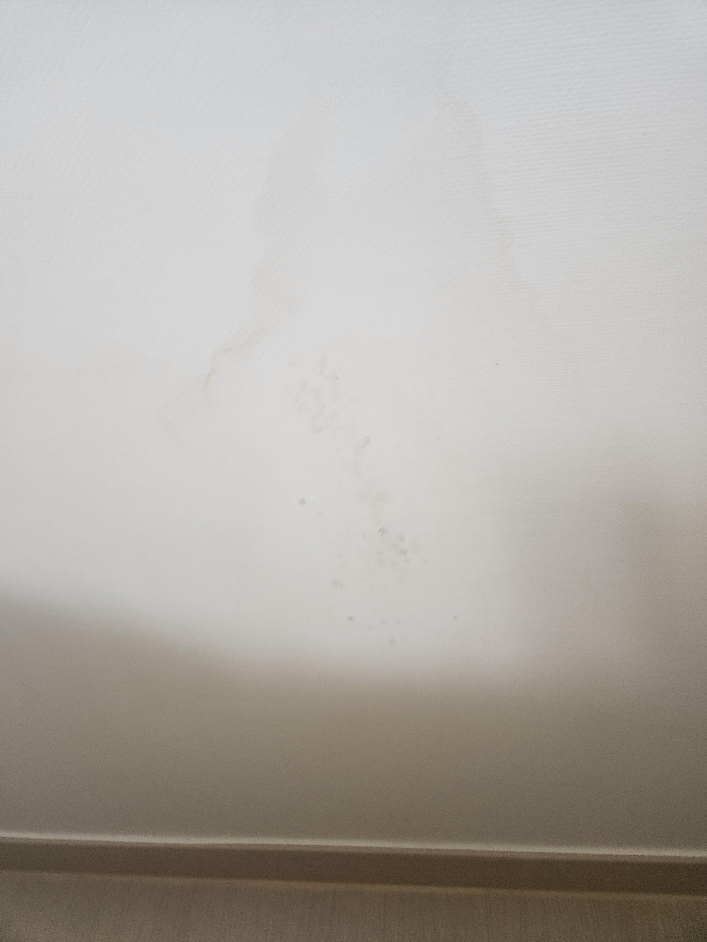 벽지 곰팡이 제거 후기