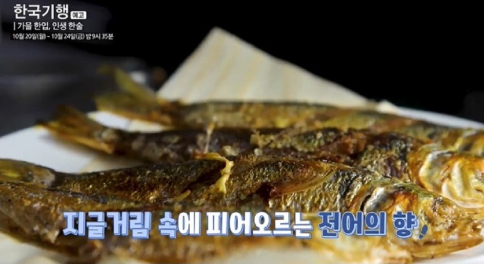 낙동강전어-부산-진목항-전어