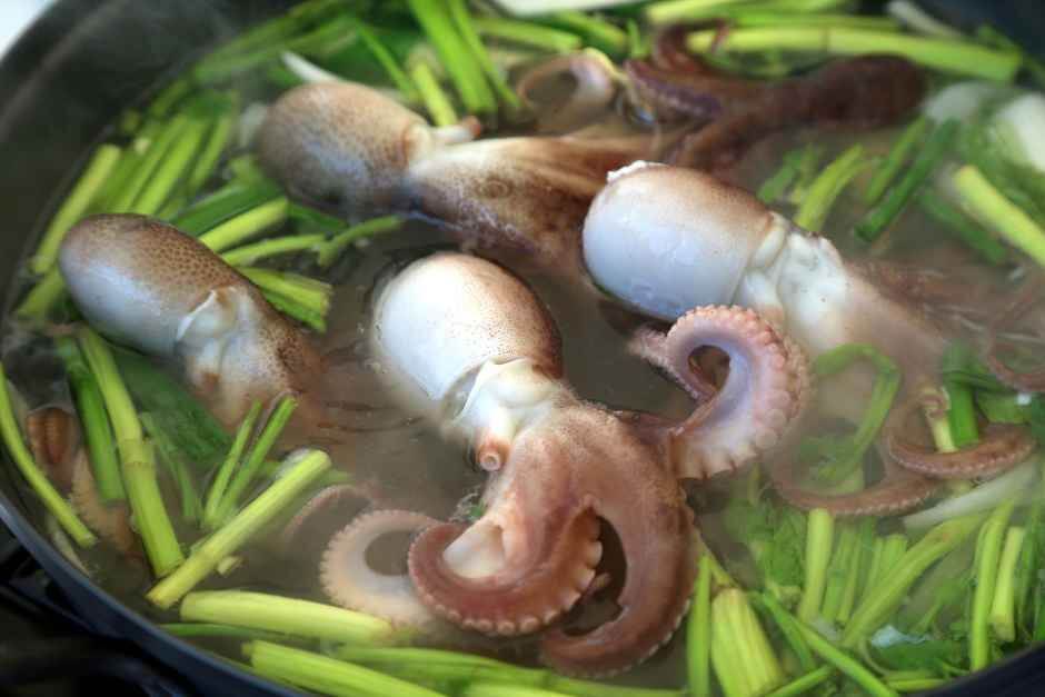 서천 동백꽃 주꾸미축제