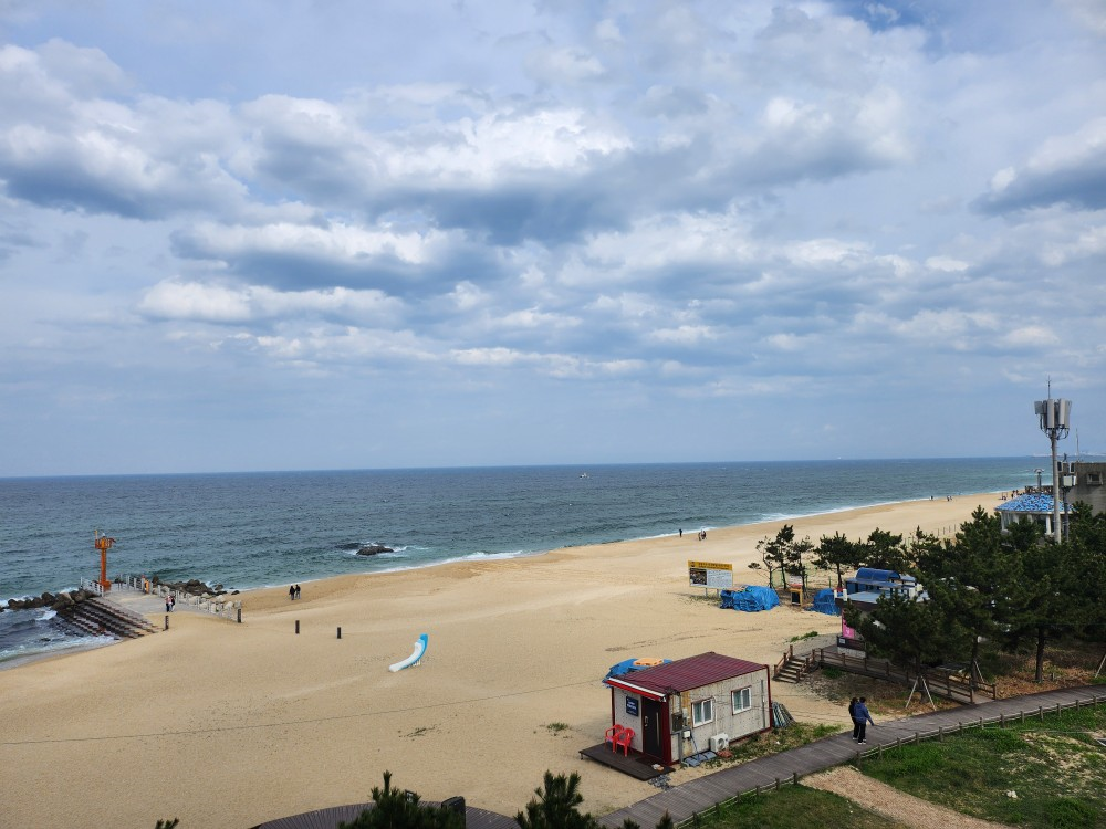 강릉 안목해변(출처: 본인)