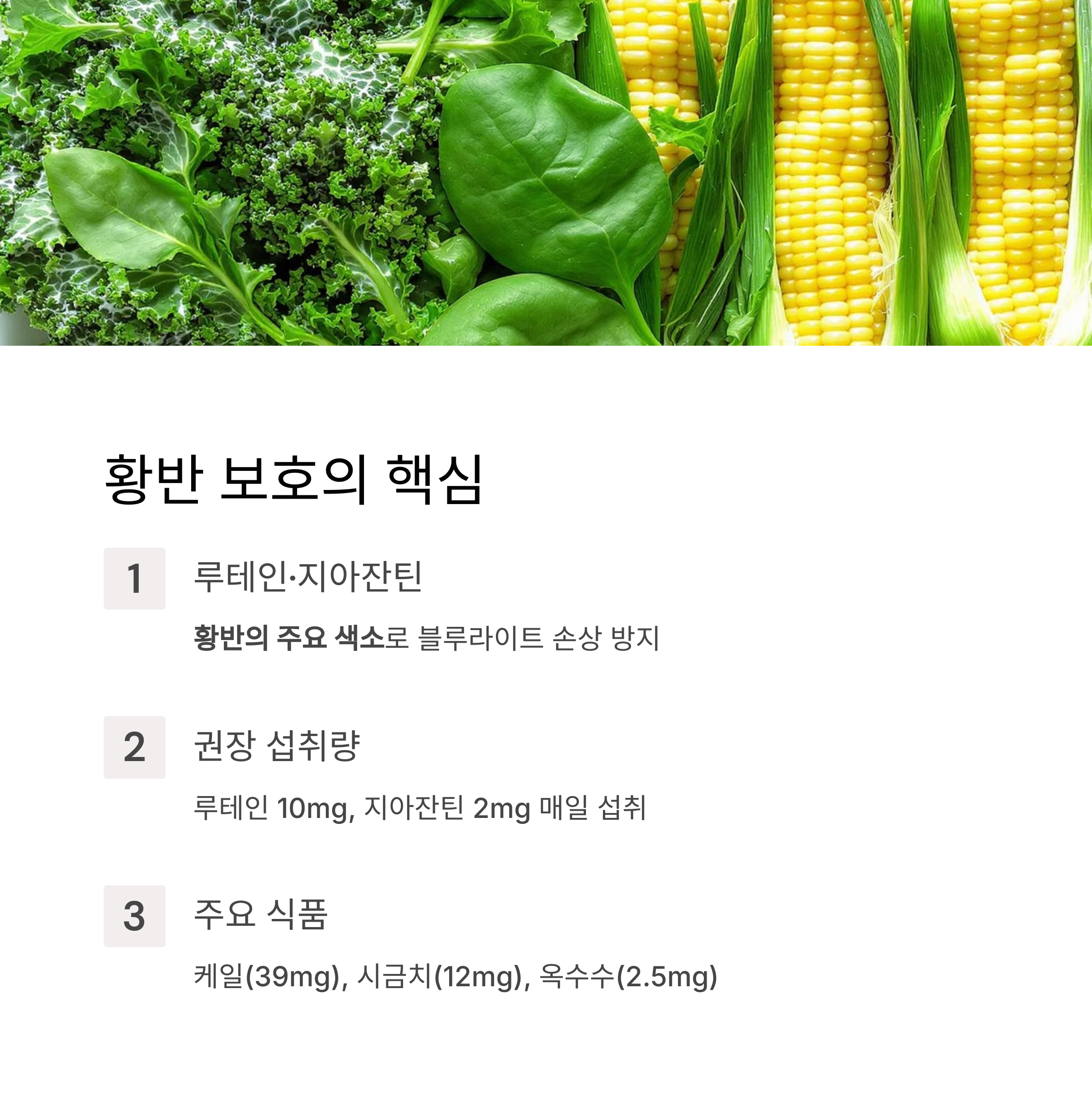 황반 보호의 핵심