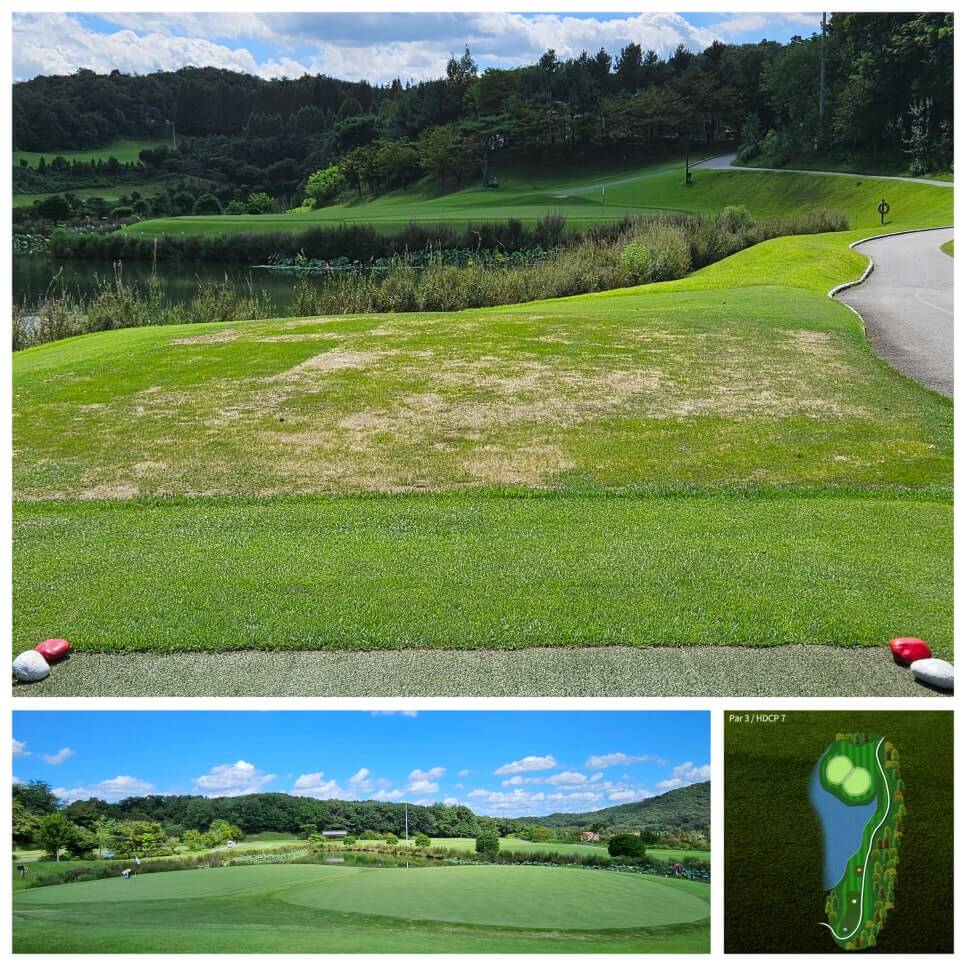 골프장 경험담 남여주cc 대중제 골프장의 최고 골프장