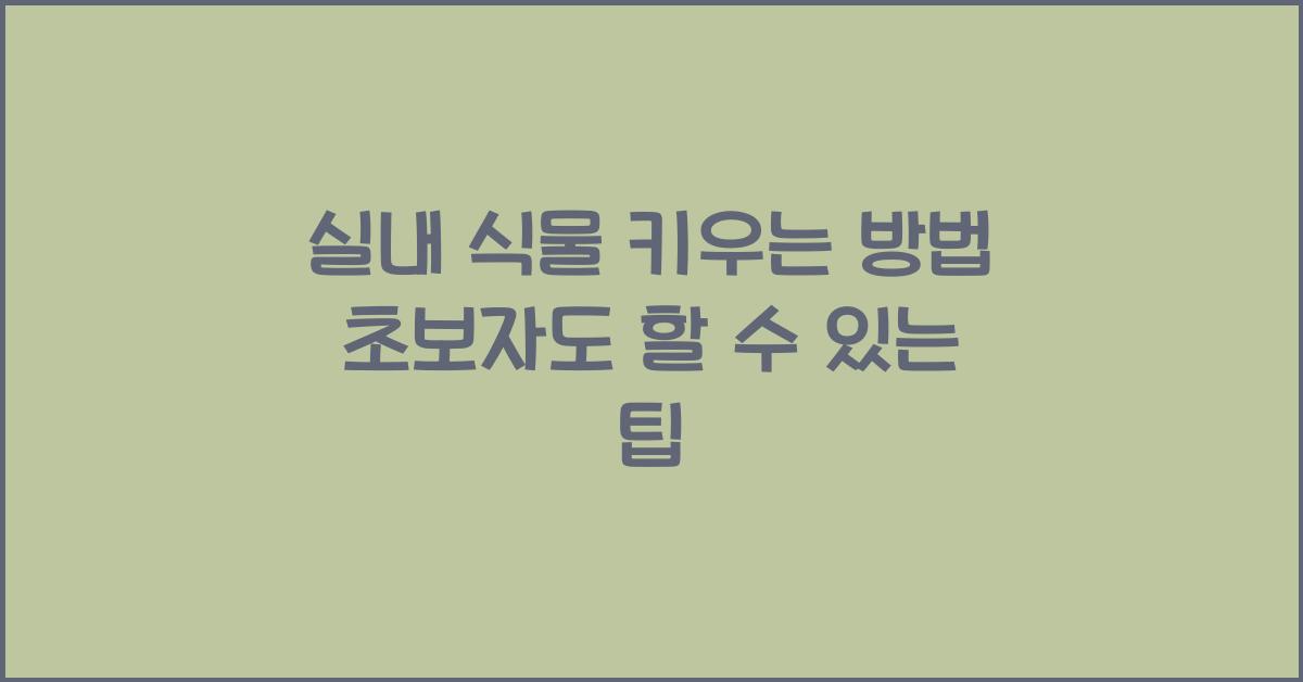 실내 식물 키우는 방법
