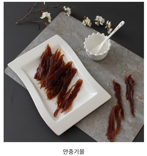 2024 크리스마스 서울 펫쇼 사전등록 입장료 주차 안내