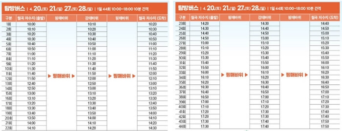 2024 화순 고인돌 봄꽃 축제 셔틀버스 및 탐방버스 이용 안내