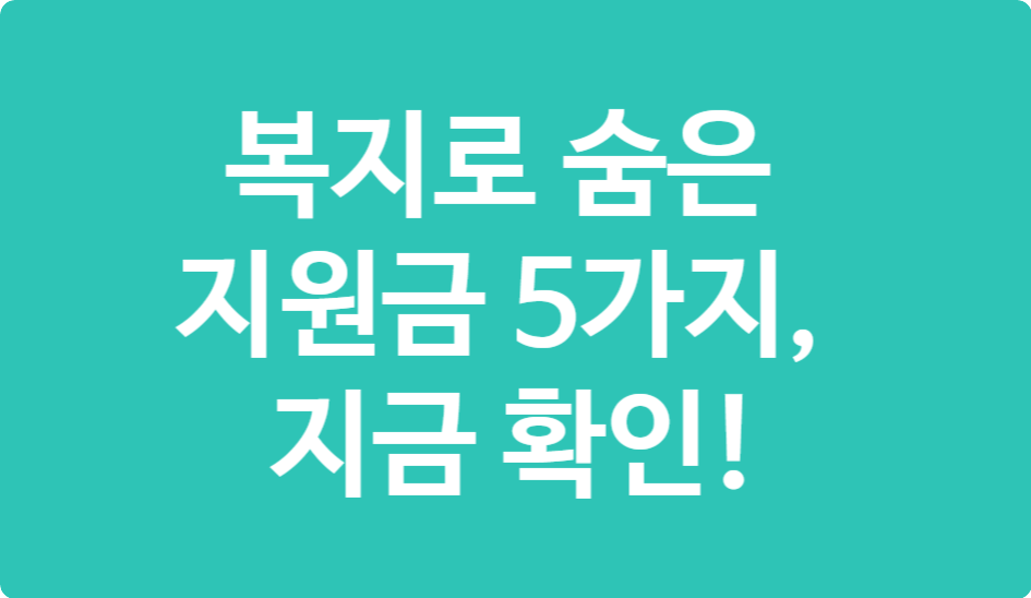 복지로에서 놓치기 쉬운 지원금 TOP5 &ndash; 지금 꼭 확인하세요