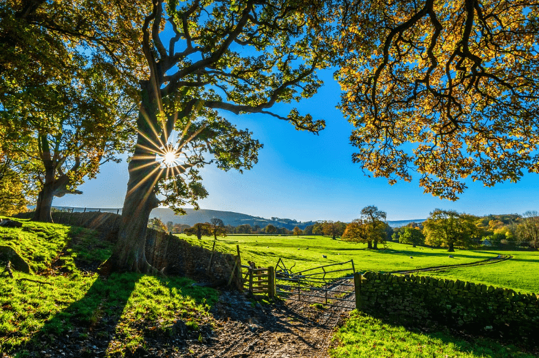 센스있는 아침인사