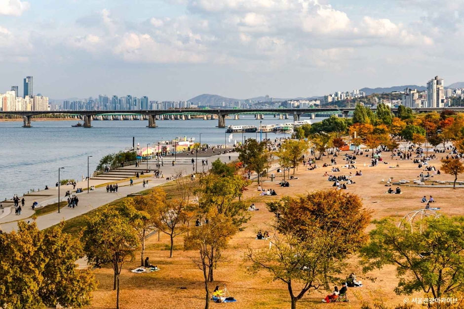 여의도-봄꽃축제-서울시제공