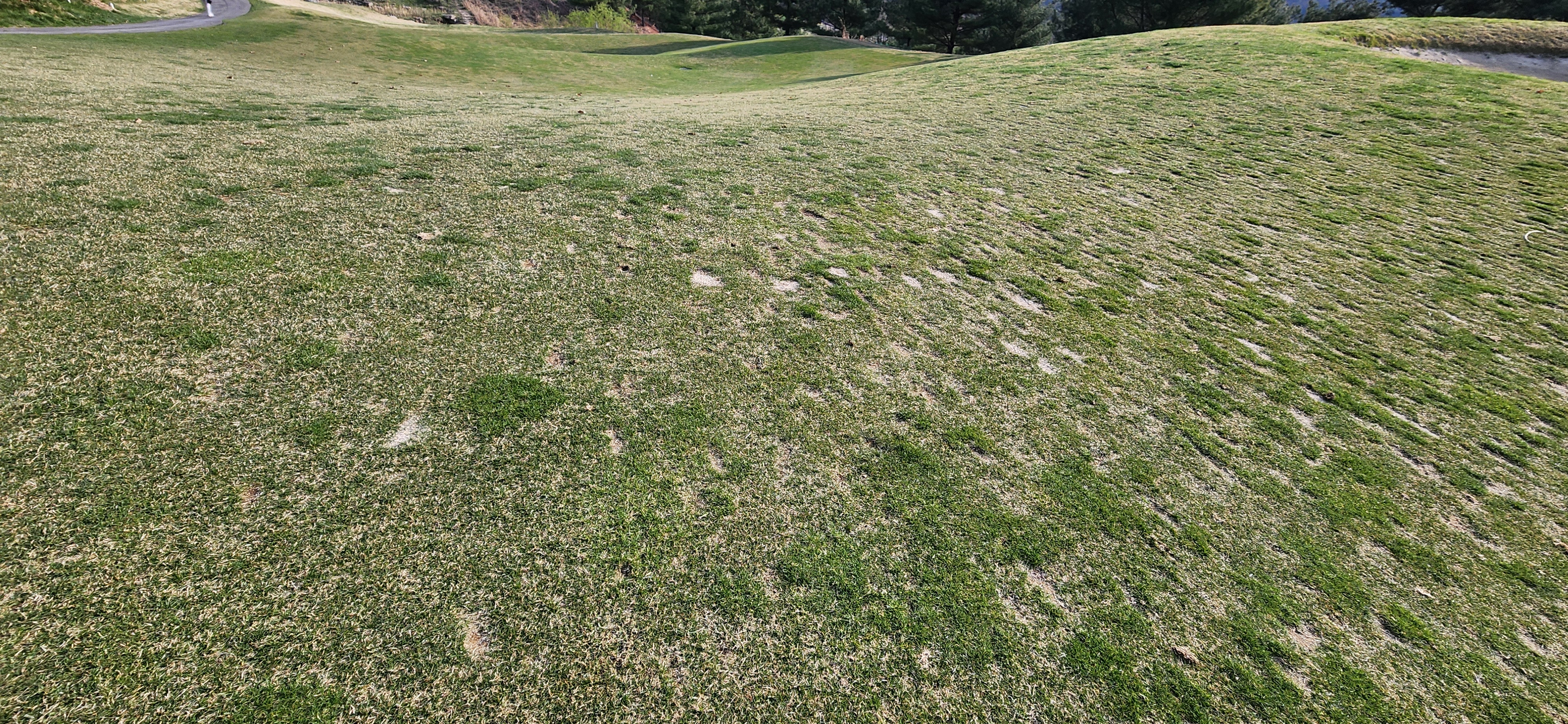 360&ordm;cc