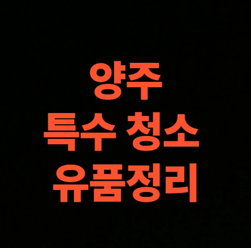 양주 유품정리 업체 오피스텔 고독사청소 가격 후기 (양주시)
