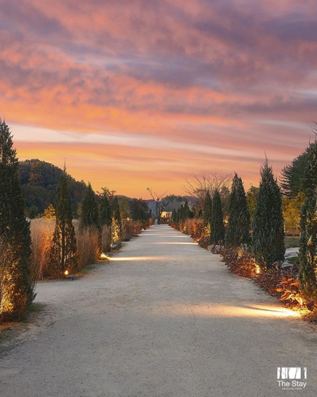 더스테이힐링파크