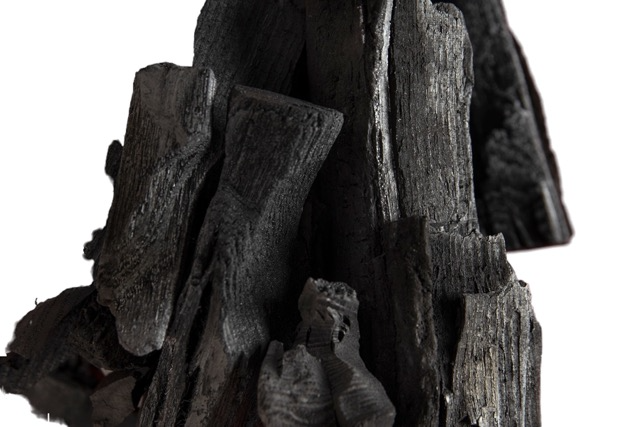 [습기제거방법 총정리] 천연 제습제 숯, 식물, 얼음물페트병, 소금, 커피찌꺼기등