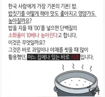 밥할 때 식초 넣는 이유와 효과 및 적정량 정리_8