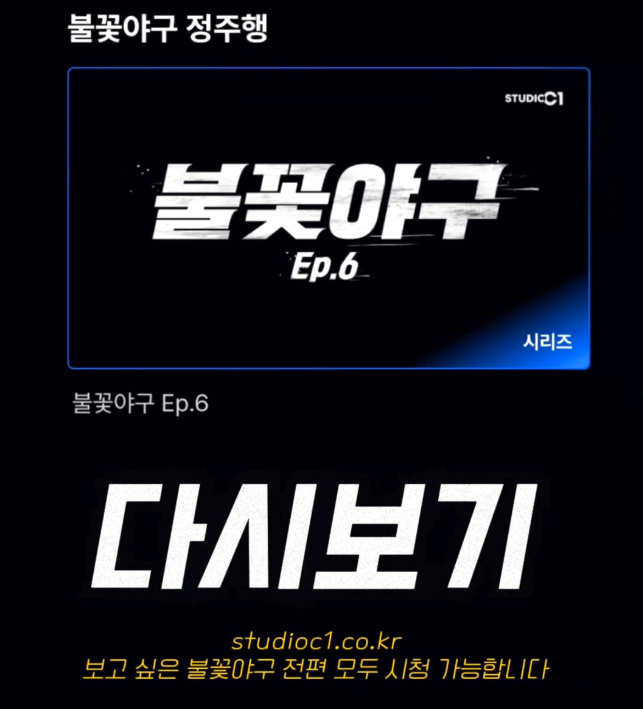 불꽃야구