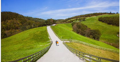 좋은 날씨에 자연 풍경