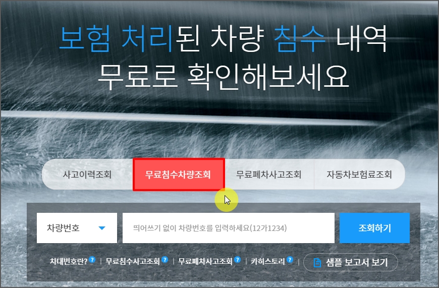 무료침수 차량조회