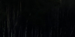 Tile 1