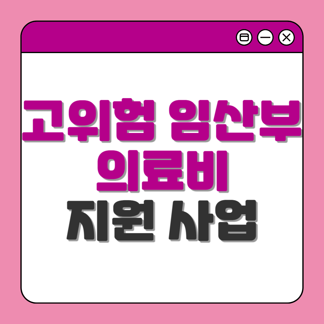 고위험 임산부 의료비 지원 사업: 신청 방법, 19대 질환 상세 안내