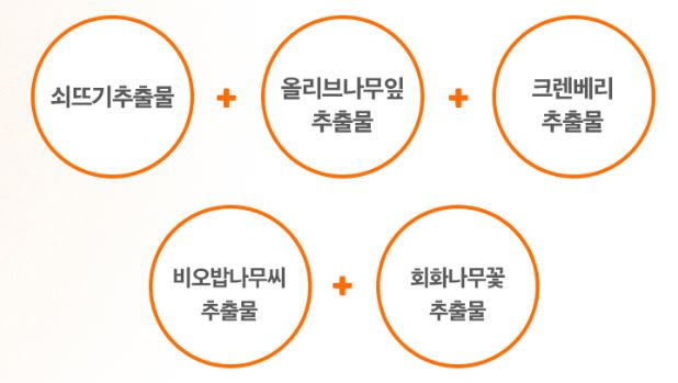 듀이트리 어반쉐이드 커버 앤 핏 선
