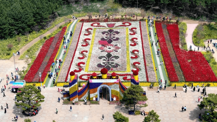 태안 튤립축제 기간 입장료 가는길