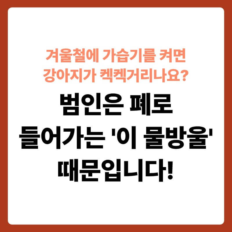 방 안 가습기에서 하얀 수증기 분무가 뿜어져 나오고 있는 아래 바닥에 누워 잠을 자고 있는 강아지의 모습 옆으로, 폐 구조와 분무 입자 크기가 투명한 3D 과학 그래픽으로 확대된 단면