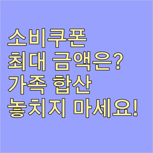 민생회복 소비쿠폰 지급 방식별 가족합..